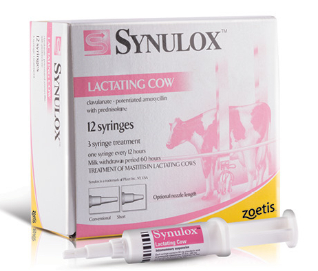 Synulox LC ®(Amoxicillin Clavulanic acid+ prednisolone)sterile suspension