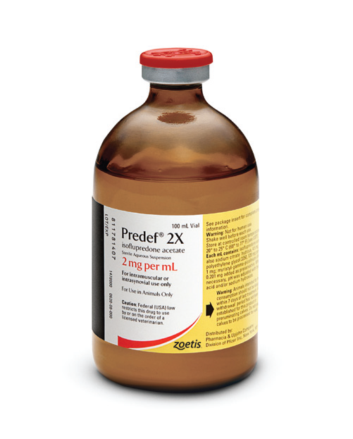 Predef® 2X (isoﬂupredone acetate)